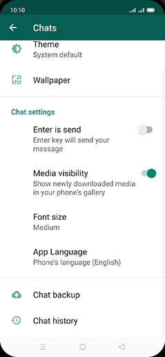 Step 6: Tap on Chat backup.