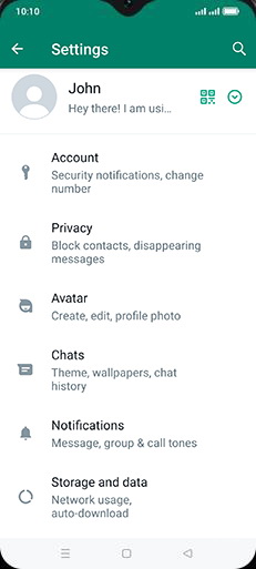Step 5: Tap on Chats.