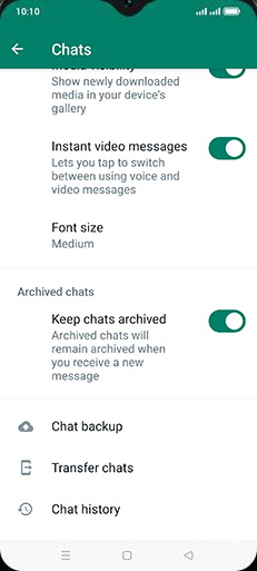 Step 6: Tap on Chat backup.