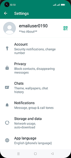 Step 5: Tap on Chats.