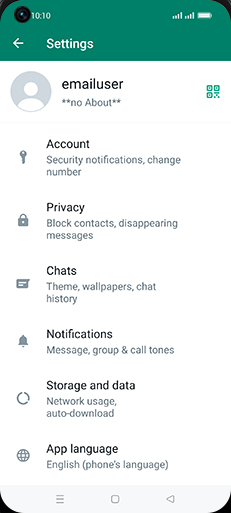 Step 5: Tap on Chats.