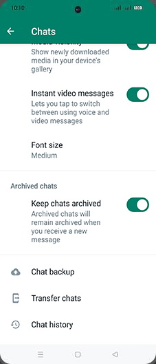 Step 6: Tap on Chat backup.