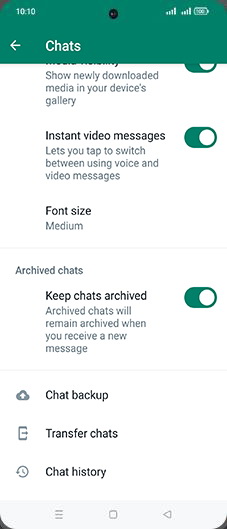 Step 6: Tap on Chat backup.