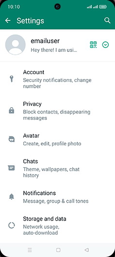 Step 5: Tap on Chats.
