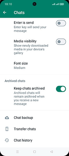 Step 6: Tap on Chat backup.