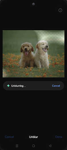Step 11: Unblurring photo.