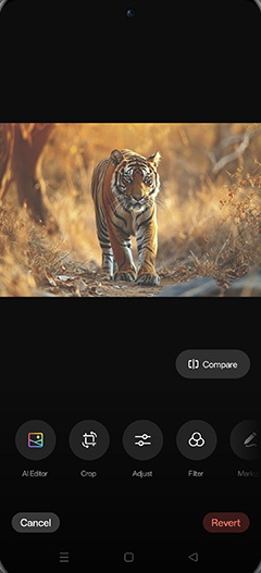 Step 7: Tap on AI Editor.