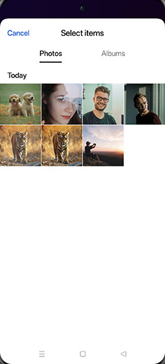 Step 7: Tap on Albums tab.