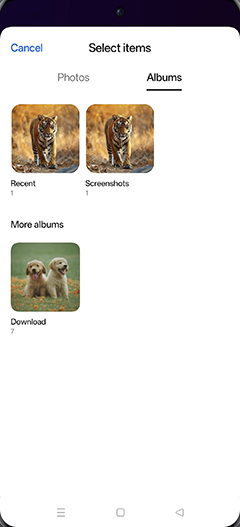 Step 8: Tap on Image folder.