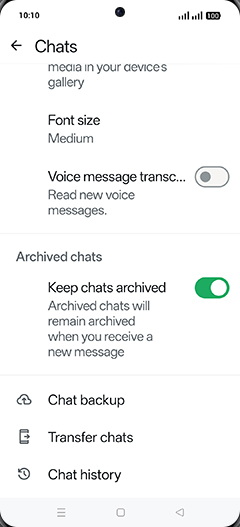 Step 6: Tap on Chat backup.