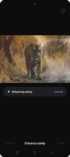 Step 11: Enhancing clarity.