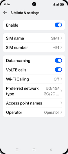 Step 7: Tap on Preferred network type.