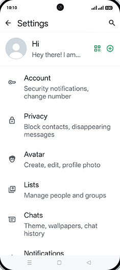 Step 5: Tap on Chats.