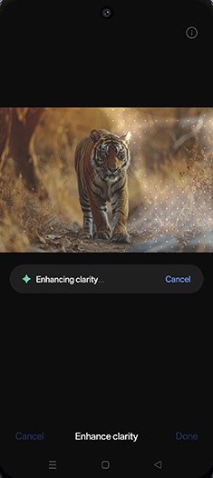 Step 11: Enhancing clarity.