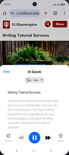 Step 6: AI speaking all the article.