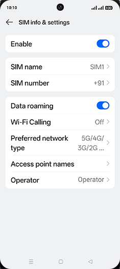 Step 7: Tap on Preferred network type.