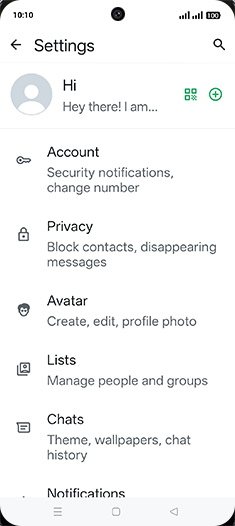 Step 5: Tap on Chats.