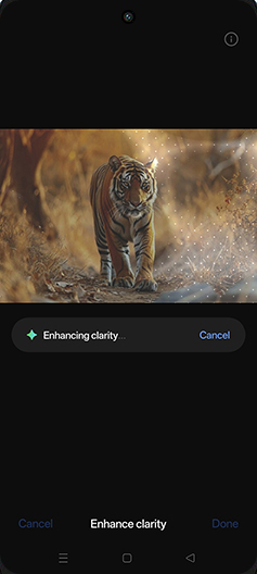 Step 11: Enhancing clarity.