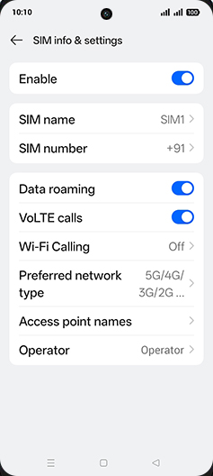 Step 7: Tap on Preferred network type.