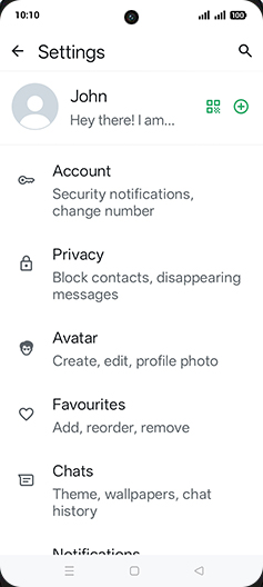Step 5: Tap on Chats.
