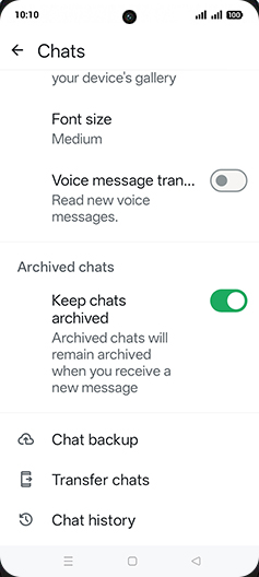 Step 6: Tap on Chat backup.