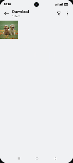 Step 5: Tap on desired Image.