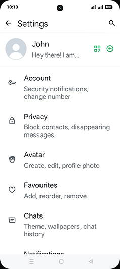 Step 5: Tap on Chats.