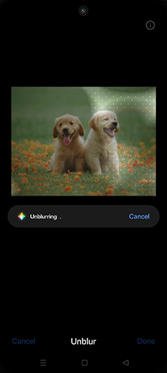 Step 11: Unblurring photo.