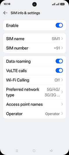Step 7: Tap on Preferred network type.