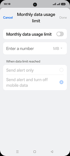 Step 15: Tap on Monthly data usage limit to turn ON.