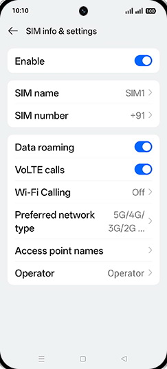 Step 7: Tap on Preferred network type.