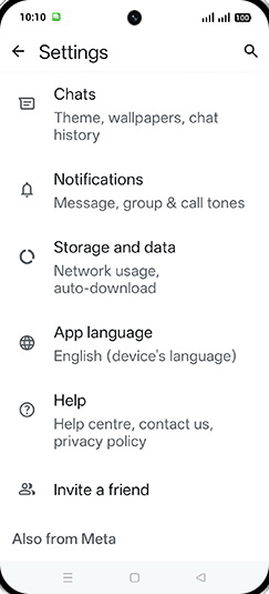 Step 5: Tap on Chats.