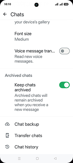 Step 6: Tap on Chat backup.