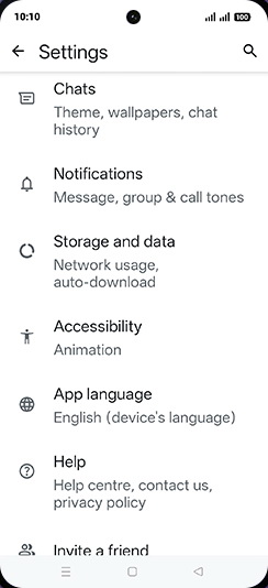 Step 5: Tap on Chats.