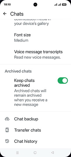 Step 6: Tap on Chat backup.
