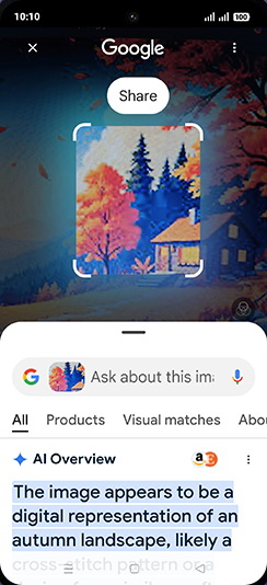 Step 5: Swipe up for more result.