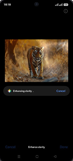 Step 11: Enhancing clarity.