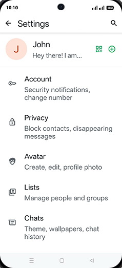 Step 5: Tap on Chats.