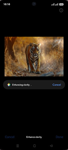 Step 11: Enhancing clarity.