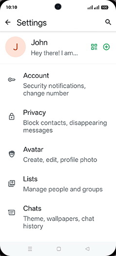 Step 5: Tap on Chats.