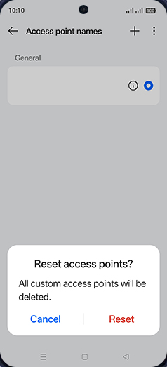 Step 8: Tap on Reset.