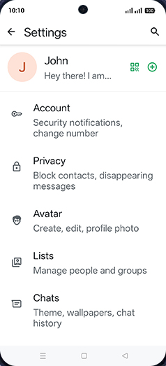 Step 5: Tap on Chats.