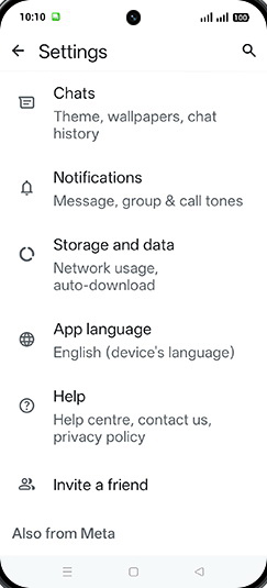 Step 5: Tap on Chats.