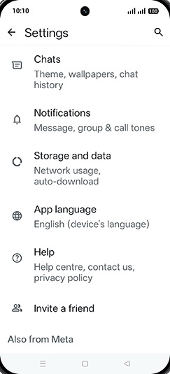 Step 5: Tap on Chats.