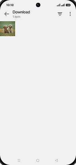 Step 5: Tap on desired Image.