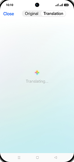 Step 9: Translating document.