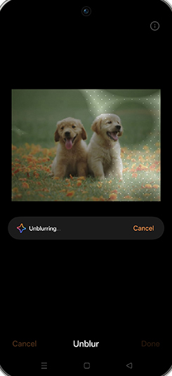 Step 11: Unblurring photo.