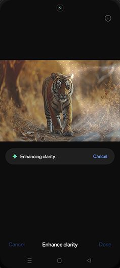 Step 11: Enhancing clarity.