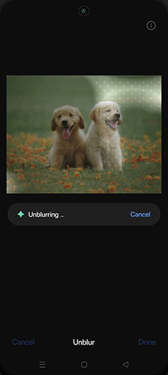 Step 11: Unblurring photo.
