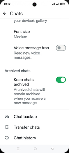 Step 6: Tap on Chat backup.